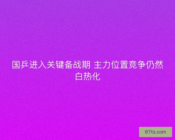 国乒进入关键备战期 主力位置竞争仍然白热化